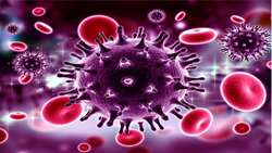 شناسایی اولین مورد بهبودیافته از HIV پس از پیوند سلول‌های بنیادی